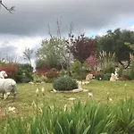 16 Trulli E Giardini Апартаменты