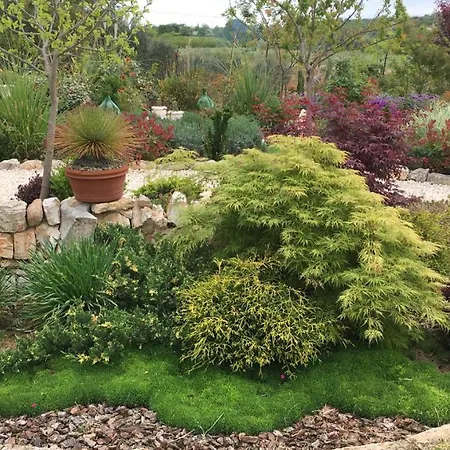 Apartamento 16 Trulli E Giardini *