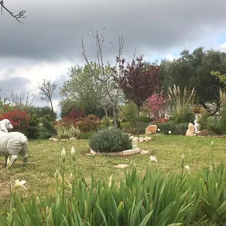 16 Trulli E Giardini Apartamento